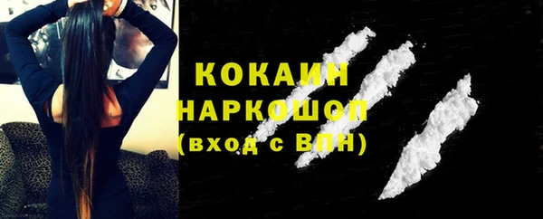 гашик Новозыбков
