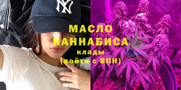 дмт Алексин