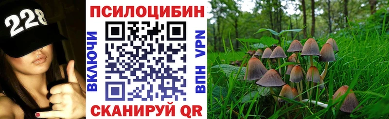 Галлюциногенные грибы Psilocybine cubensis  наркотики  Сураж 